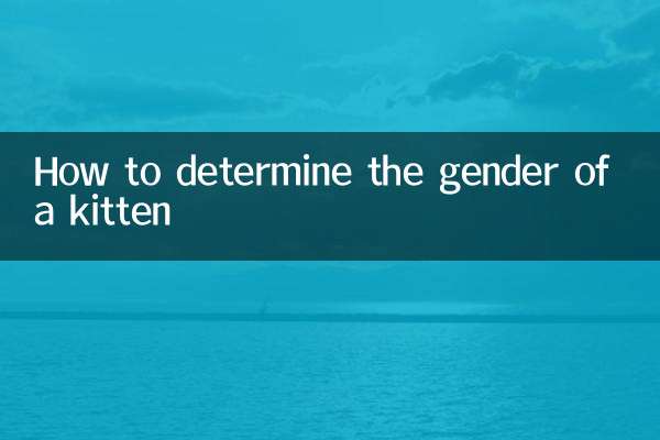 Come determinare il sesso di un gattino