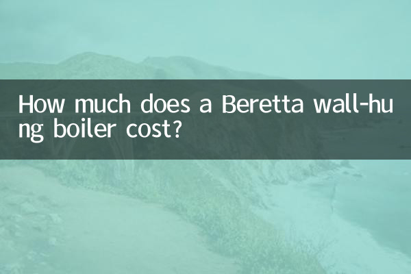 Beretta 벽걸이 보일러의 가격은 얼마입니까?