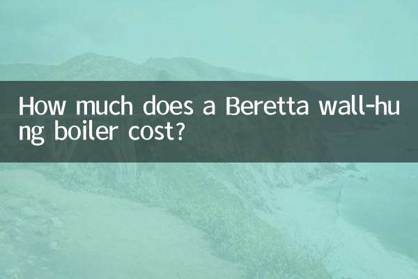 Beretta 벽걸이 보일러의 가격은 얼마입니까?
