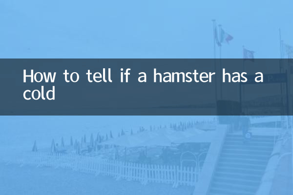 كيفية معرفة ما إذا كان الهامستر يعاني من نزلة برد