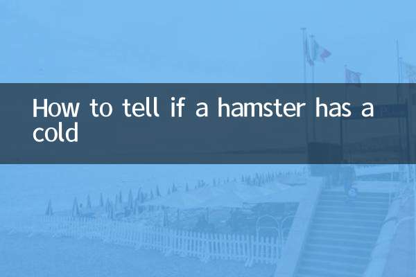 اگر کسی ہیمسٹر کو سردی ہو تو کیسے بتائیں