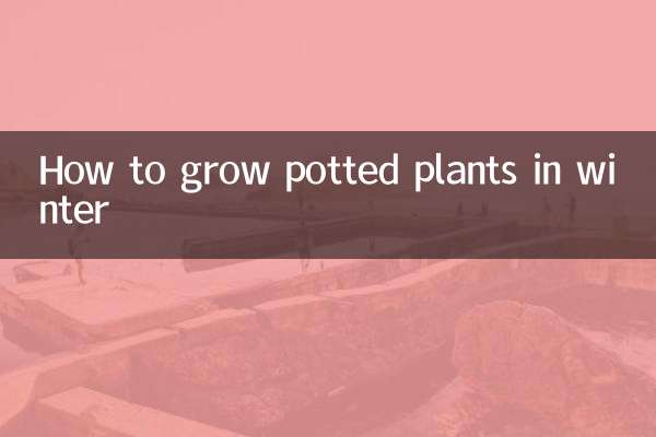 겨울에 화분을 키우는 방법