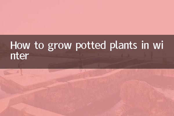 冬天盆栽怎麼養