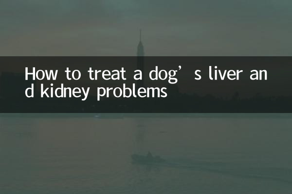 Come trattare i problemi al fegato e ai reni di un cane