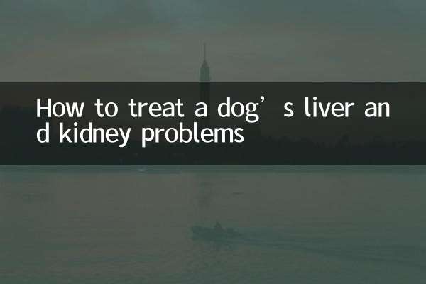 Come trattare i problemi al fegato e ai reni di un cane