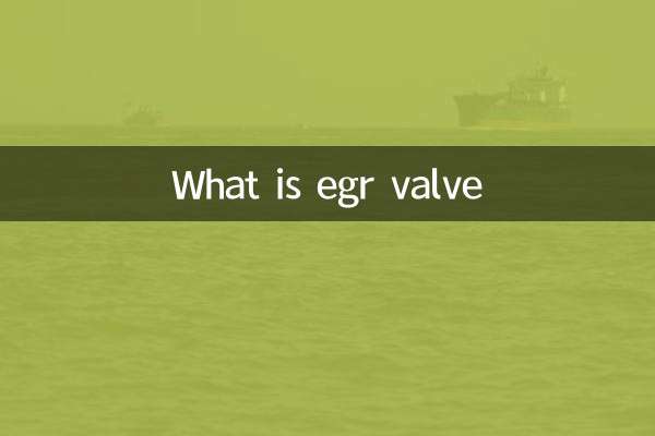 O que é válvula egr