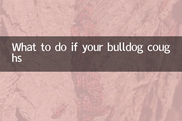 Cosa fare se il tuo bulldog tossisce