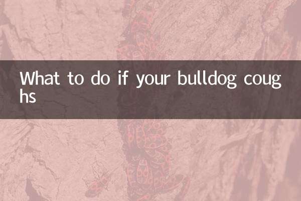Cosa fare se il tuo bulldog tossisce