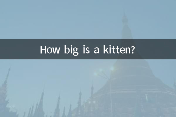 子猫の大きさはどれくらいですか？