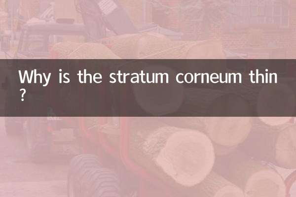 Why is the stratum corneum thin?