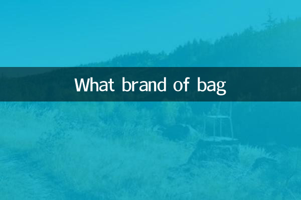 किस ब्रांड का बैग