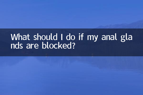 肛門腺堵住了怎麼辦