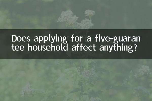 Solicitar uma família com cinco garantias afeta alguma coisa?