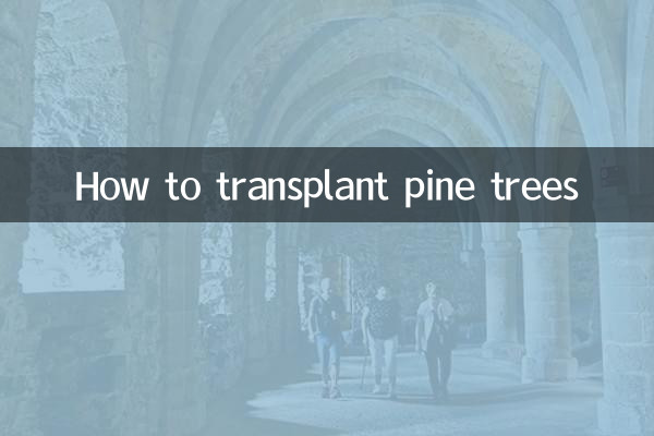 دیودار کے درختوں کی پیوند کاری کیسے کریں