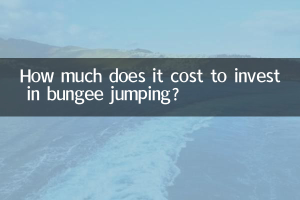 बंजी जंपिंग में निवेश करने में कितना खर्च आता है?