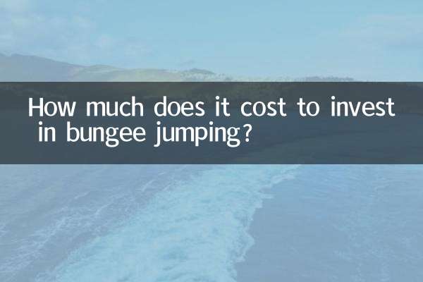 बंजी जंपिंग में निवेश करने में कितना खर्च आता है?