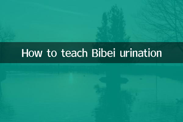 How to teach Bibei urination