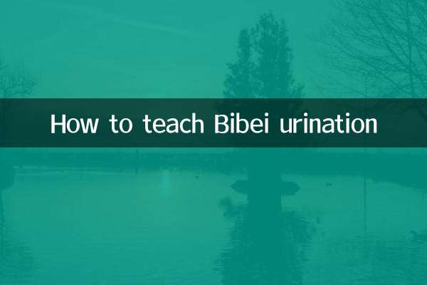 How to teach Bibei urination