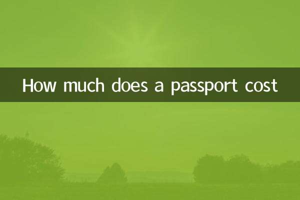 ¿Cuánto cuesta un pasaporte?