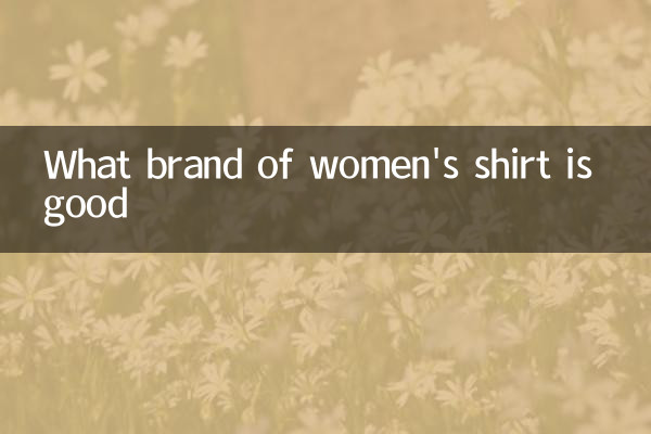 Que marca de camisa feminina é boa