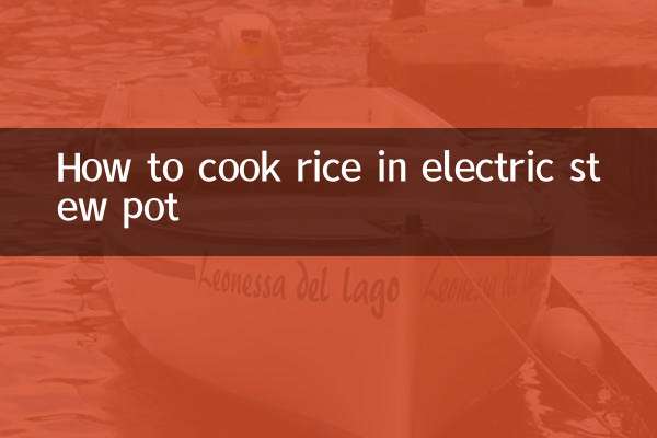 How to cook rice in electric stew pot