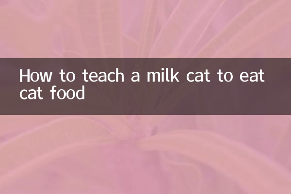 怎么教奶猫吃猫粮