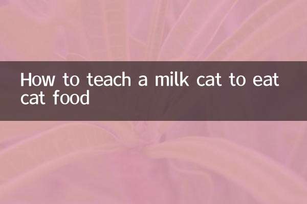 Comment apprendre à un chat de lait à manger de la nourriture pour chat