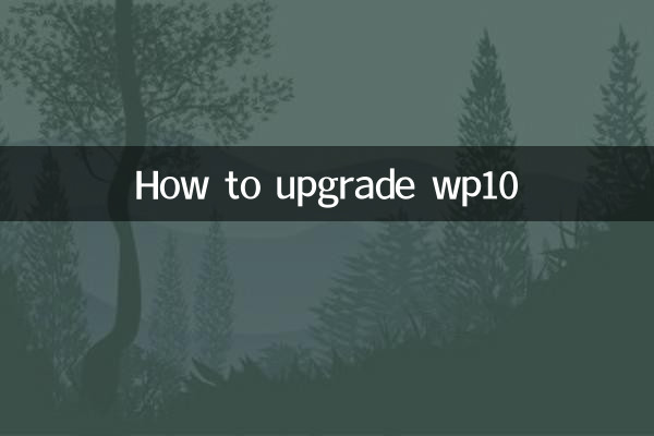 Cómo actualizar wp10
