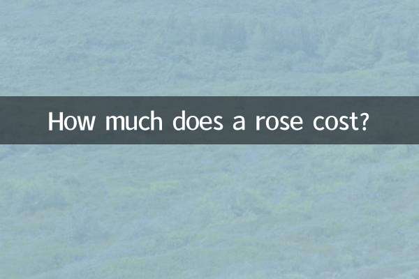 Quanto costa una rosa?