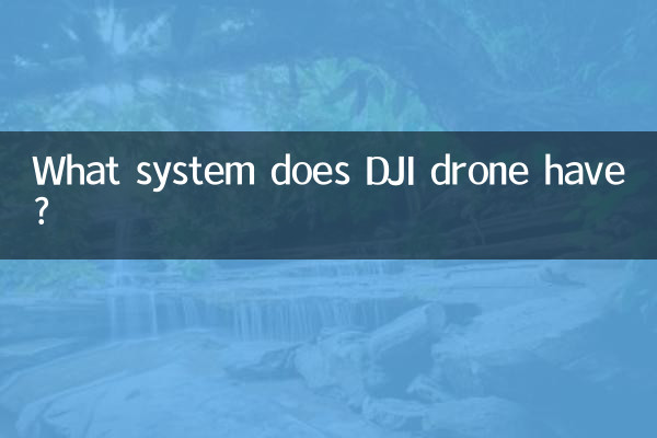 Какая система у дрона DJI?