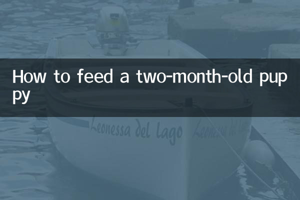 2개월 된 강아지에게 먹이를 주는 방법