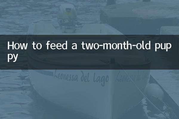 2개월 된 강아지에게 먹이를 주는 방법