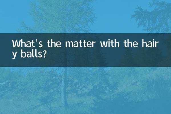 毛むくじゃらのボールはどうしたの？