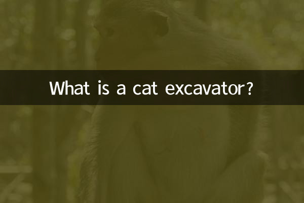 O que é uma escavadeira para gatos?