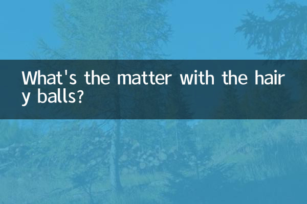 毛むくじゃらのボールはどうしたの?
