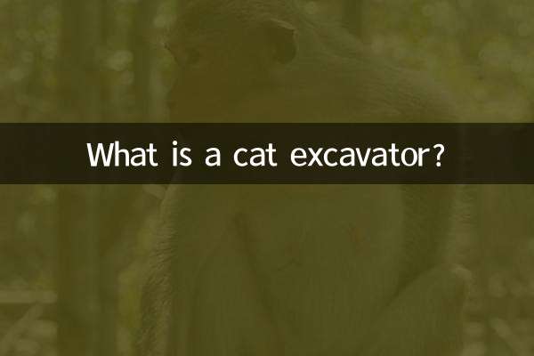 Qu'est-ce qu'une pelle à chat ?