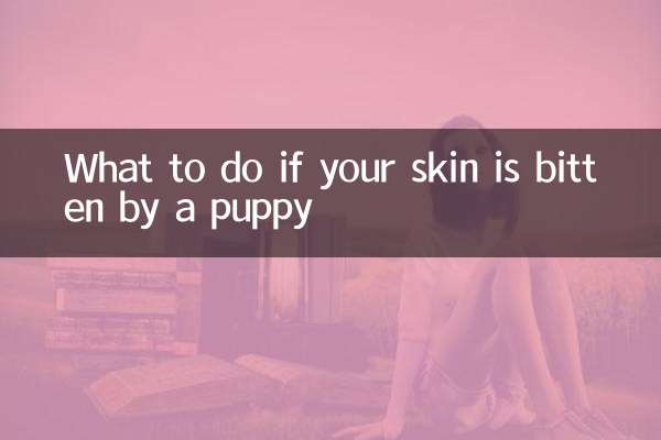 اگر پوست شما توسط توله سگ گاز گرفته شد چه باید کرد؟