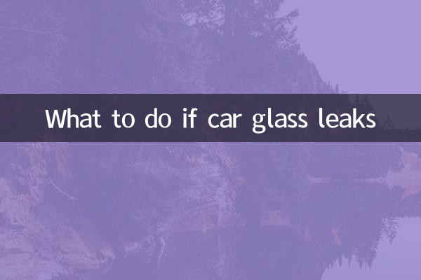 자동차 유리가 새는 경우 대처 방법