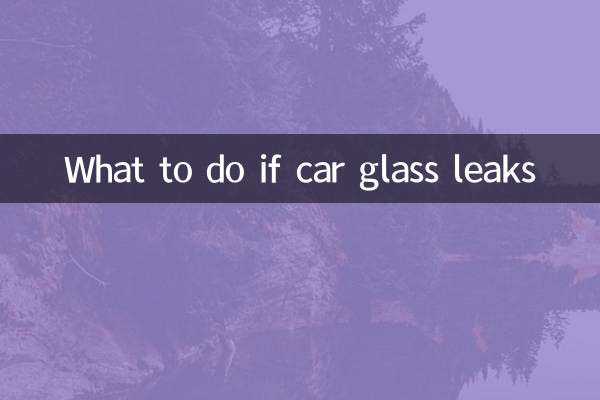 Cosa fare se il vetro dell'auto perde