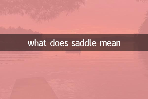 サドルとはどういう意味ですか