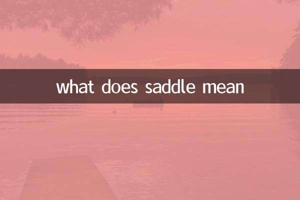 サドルとはどういう意味ですか