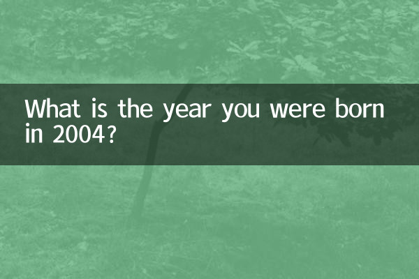 In welchem Jahr wurden Sie 2004 geboren?