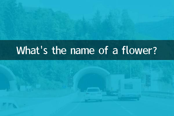 একটি ফুলের নাম কি?