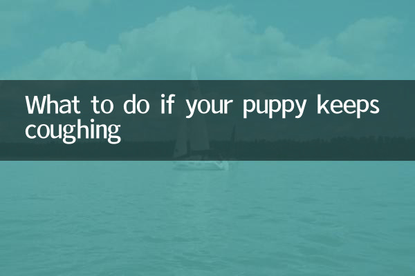 ماذا تفعل إذا استمر جروك في السعال