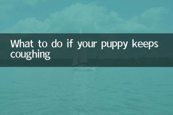 Что делать, если щенок продолжает кашлять