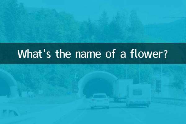 একটি ফুলের নাম কি?