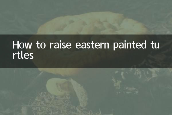 Wie man östlich bemalte Schildkröten aufzieht