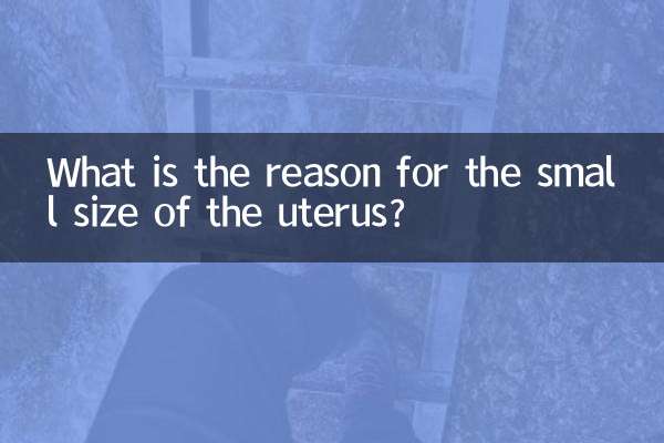 Quelle est la raison de la petite taille de l'utérus ?
