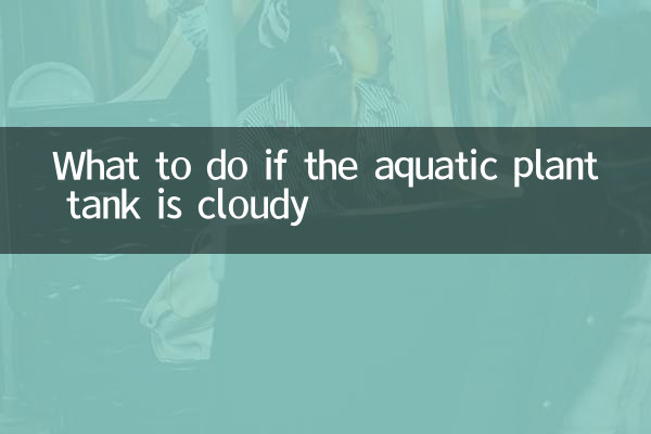 What to do if the aquatic plant tank is cloudy