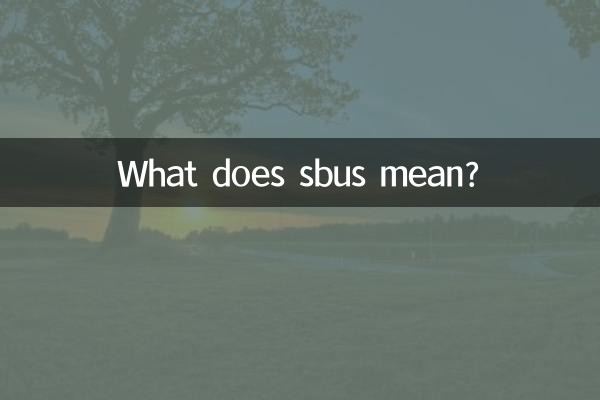 sbus은 무슨 뜻인가요?